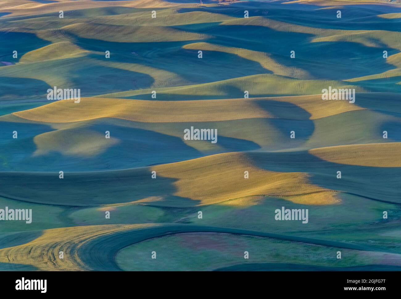 Washington State, Steptoe Butte State Park, Palouse First Light Stockfoto