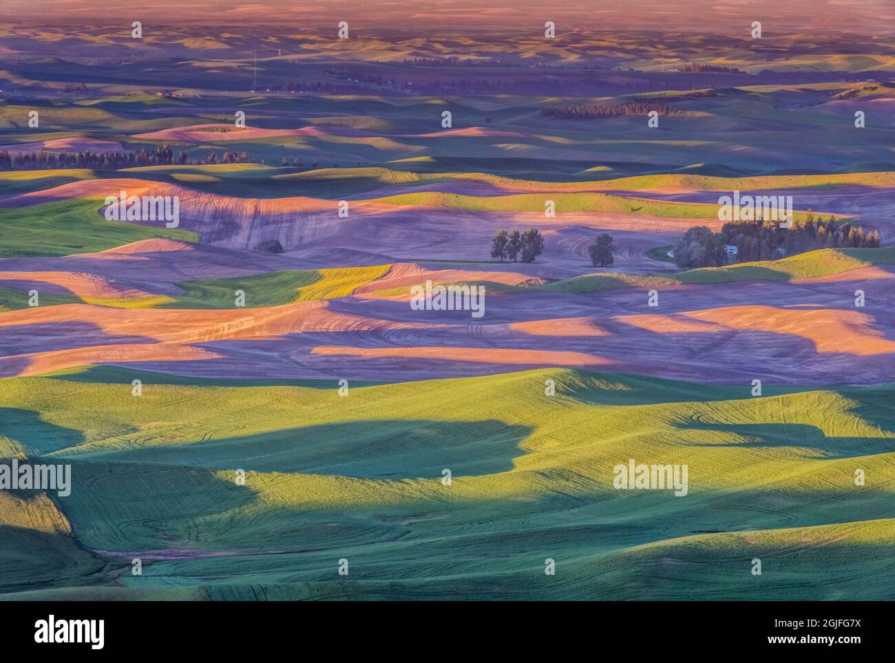 Washington State, Steptoe Butte State Park, Palouse Spring Stockfoto