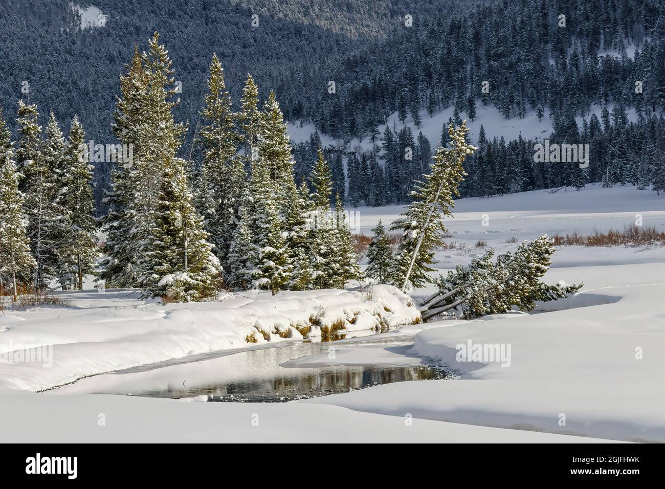 Lamar River läuft durch die Schneeszene, Lamar Valley, Yellowstone National Park, Wyoming. Stockfoto