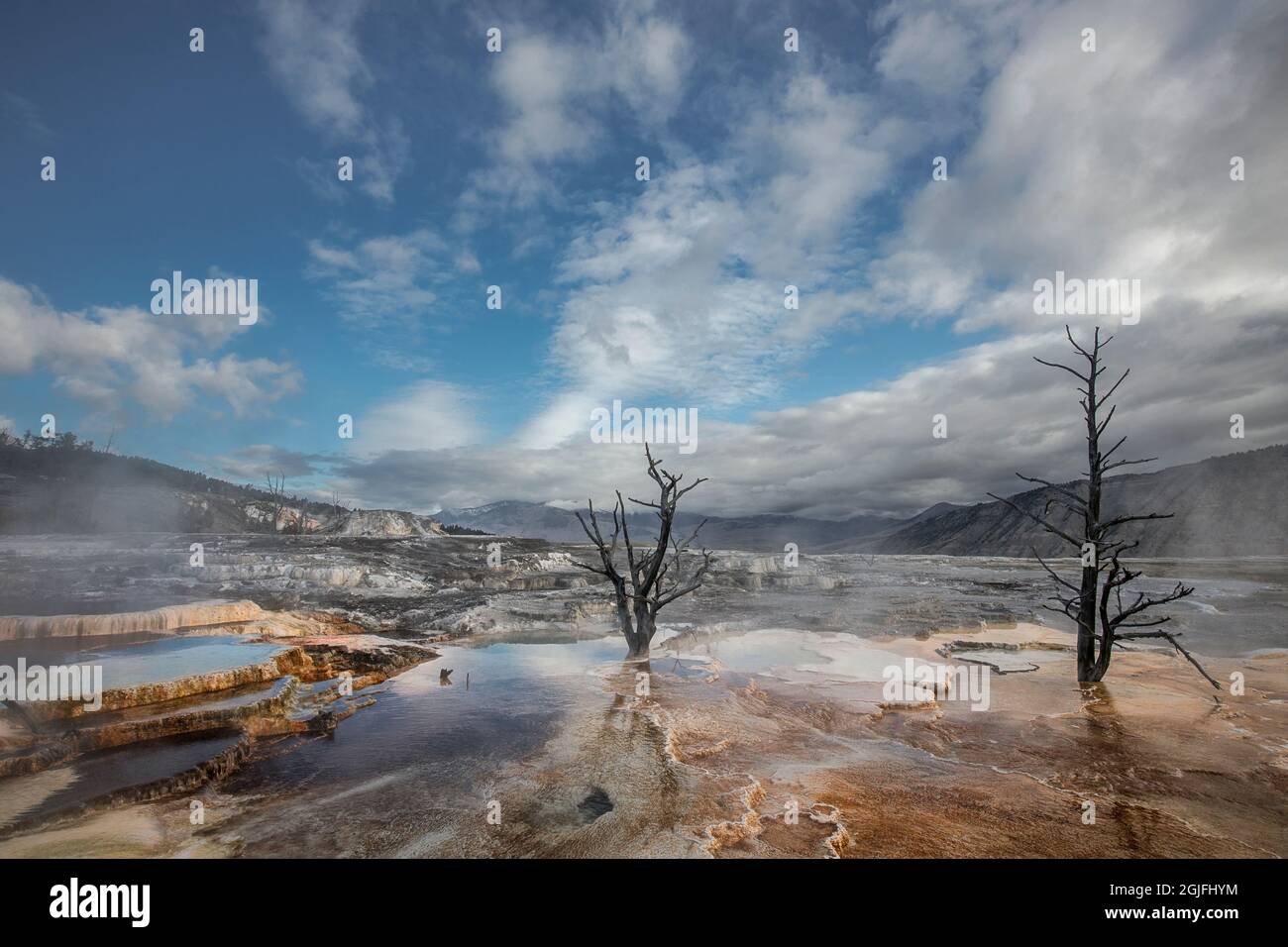 Blue Pools auf Canary Springs, Yellowstone National Park, Wyoming Stockfoto