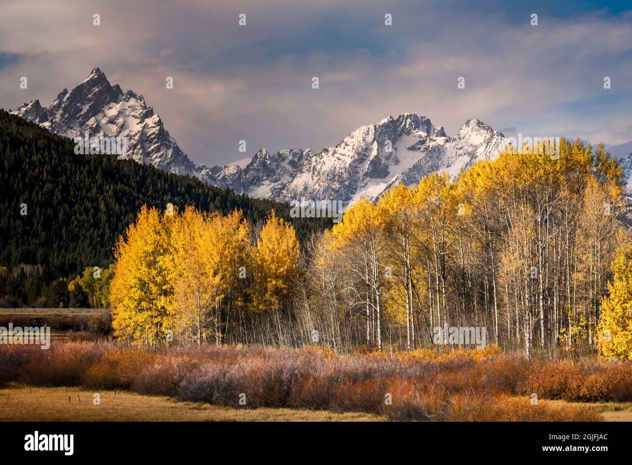 Herbstansicht des Mt. Moran aus Oxbow Bend, Grand Teton National Park, Wyoming Stockfoto