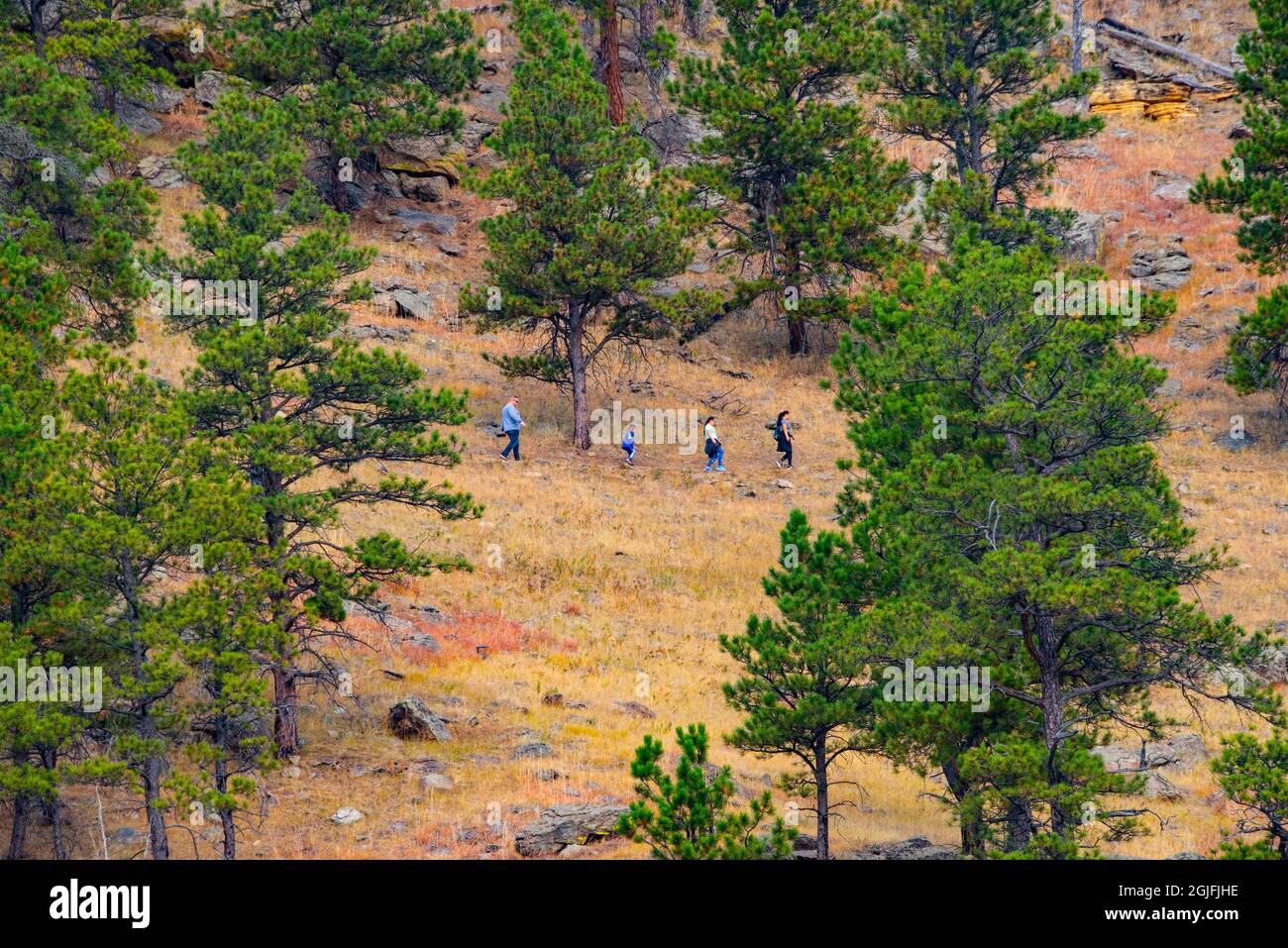 USA, Wyoming, Sundance, Devil's Tower National Monument, Wanderer auf dem Red Beds Trail Stockfoto