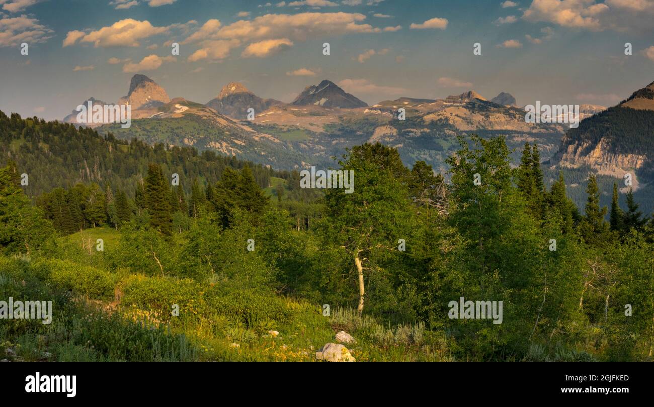 Panoramablick auf Grand, Middle und South Teton von Westen aus gesehen, in der Nähe des Grand Targhee Ski Resorts, Wyoming Stockfoto