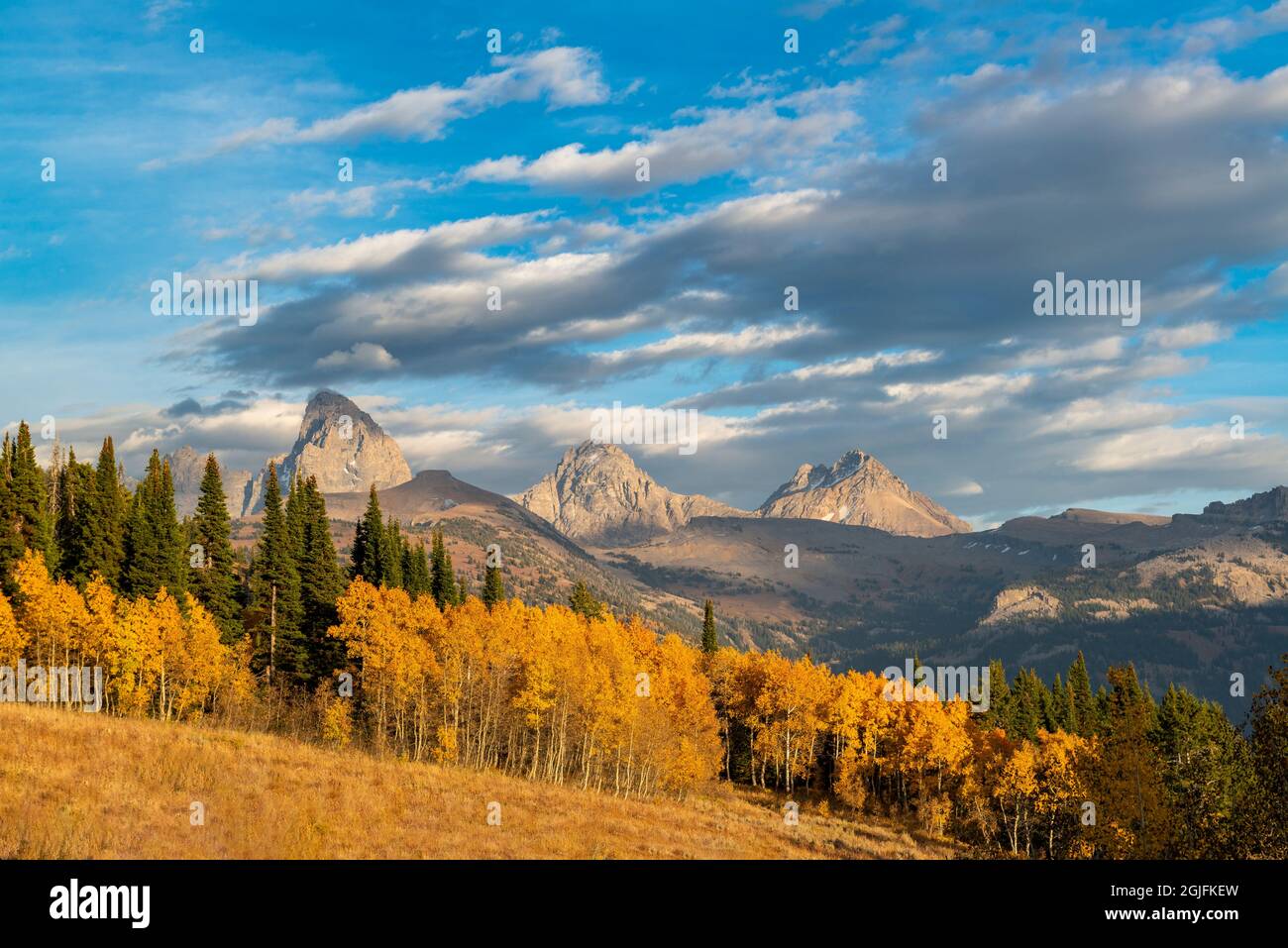 Landschaft von Mt. Owen, Grand Teton, Middle und South Teton, goldenes Herbstlaub, aus dem Westen in der Nähe des Targhee Ski Resorts und Jackson Hole, Wyoming Stockfoto