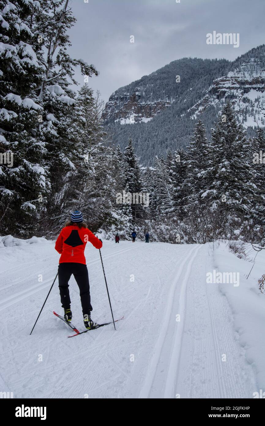 Skate-Ski für Frauen im Teton Canyon in der Nähe von Driggs Idaho und Alta, Wyoming Stockfoto