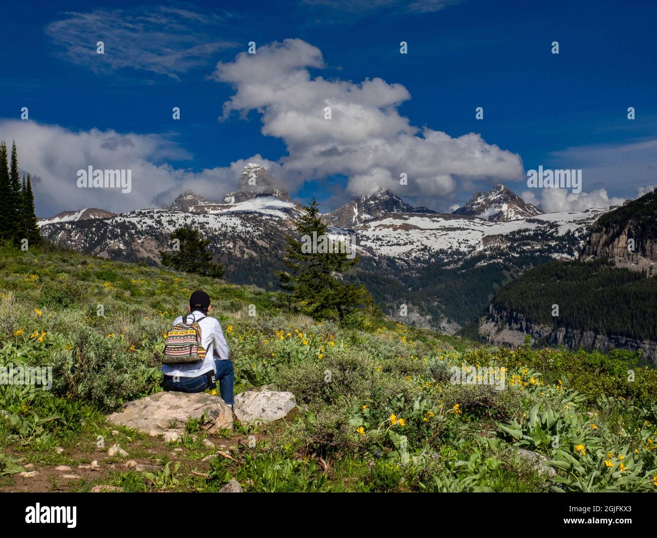 Weibliche Wandererin in Ehrfurcht vor Grand, Middle und South Teton, Wyoming Stockfoto