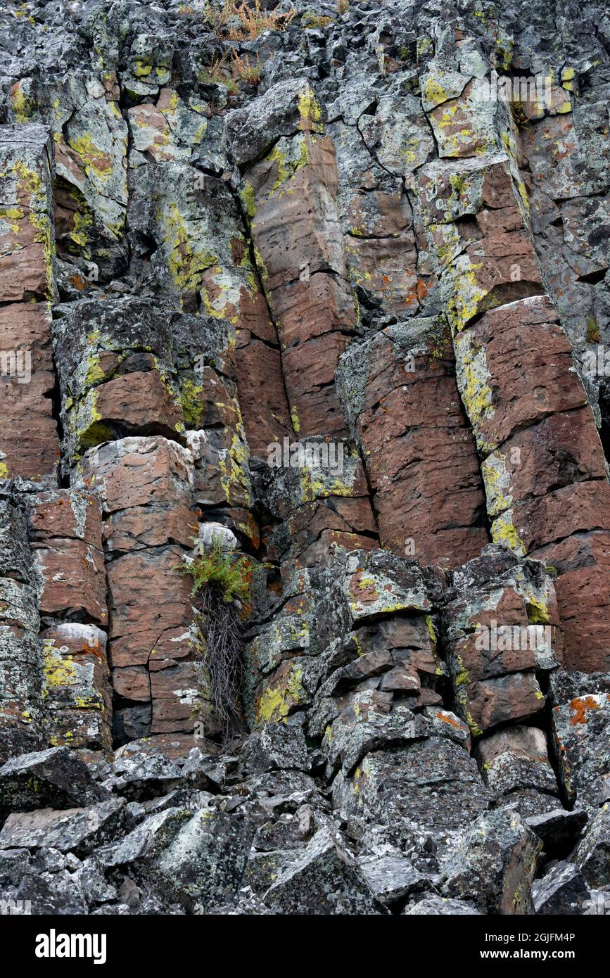 USA, Wyoming. Sheepeater Cliffs Detail, Yellowstone National Park. Stockfoto