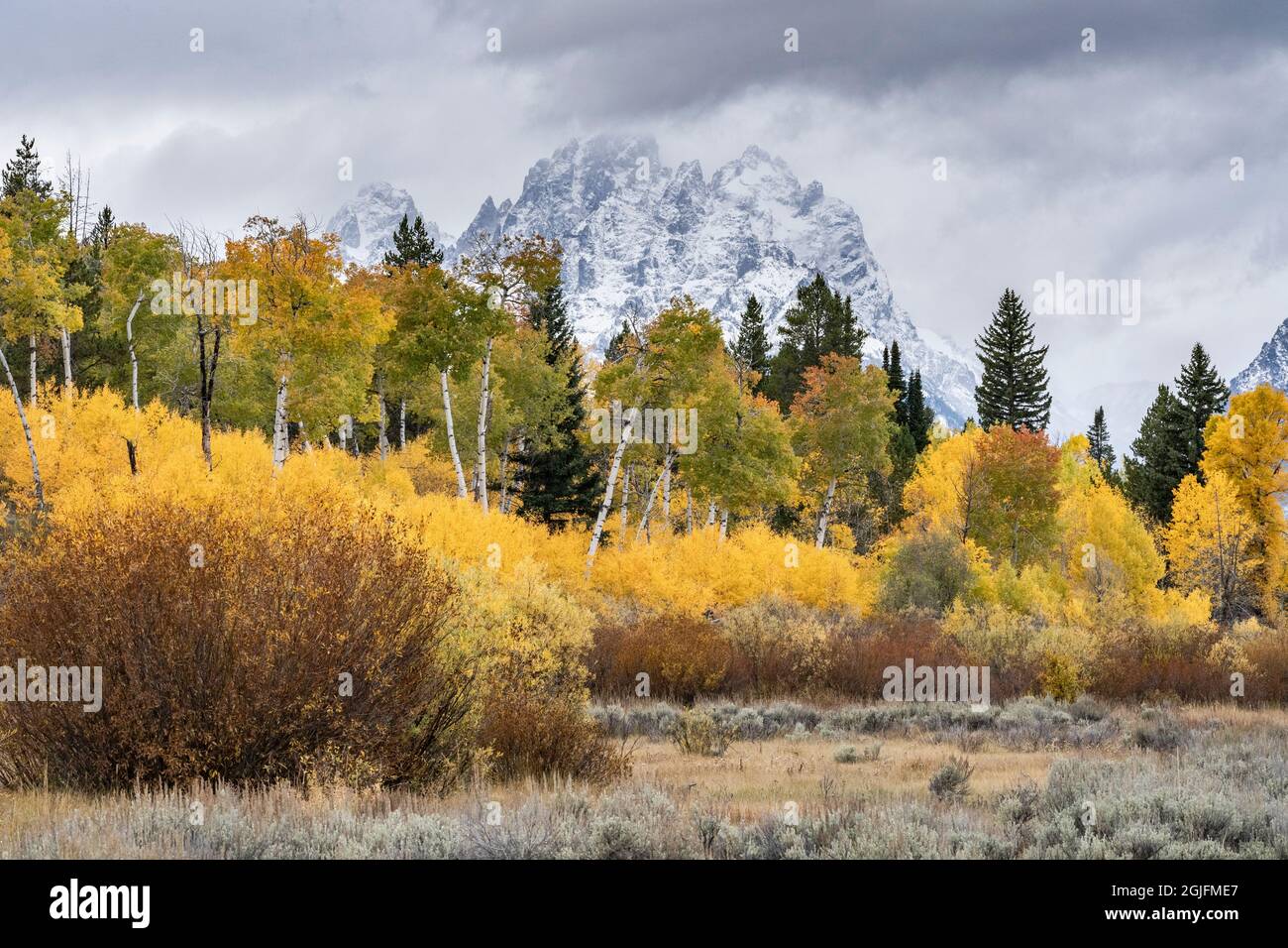 USA, Wyoming. Mount Moran mit farbenfrohem Herbstlaub, Grand Teton National Park. Stockfoto