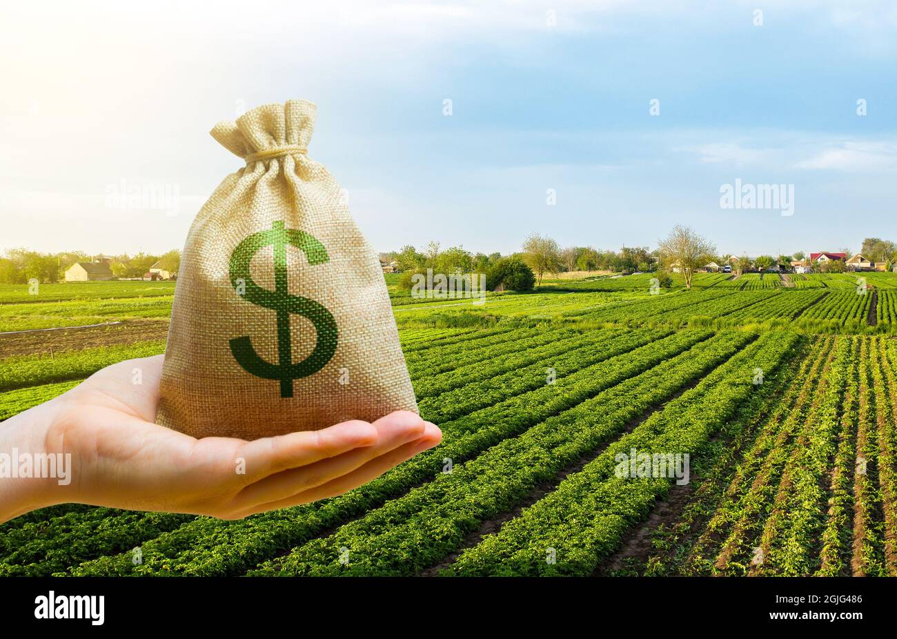 Dollar-Geldbeutel auf dem Feld. Darlehen und Subventionierung von Landwirten. Zuschüsse, finanzielle Unterstützung. Gewinn der Agrarindustrie. Grundsteuer. Start-ups in der Landwirtschaft. Secu Stockfoto