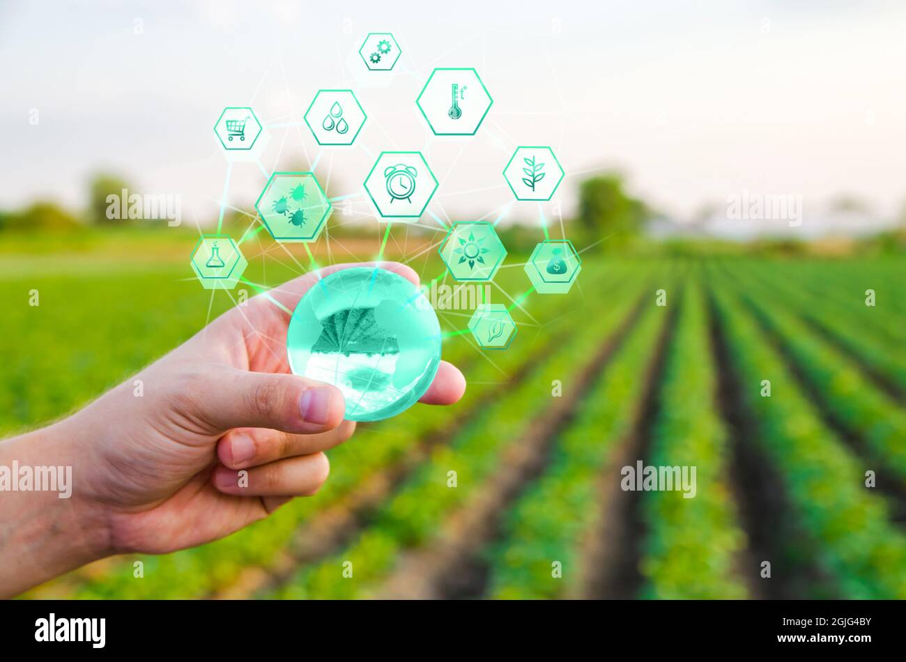 Einen Globus mit Innovationen auf dem Feld Bauernhof Hintergrund halten. Einsatz innovativer Technologien in der Landwirtschaft. Internet der Dinge und Industrie digitalizati Stockfoto