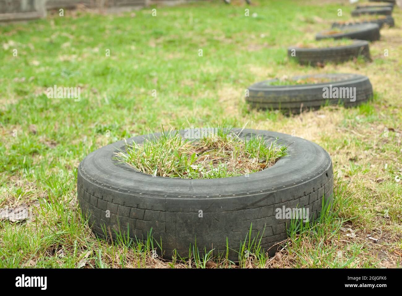 Reifen liegen auf der Straße. Autoreifen liegen auf dem Gras. Vom Auto aus in die Bodenräder eingewachsen. Stockfoto