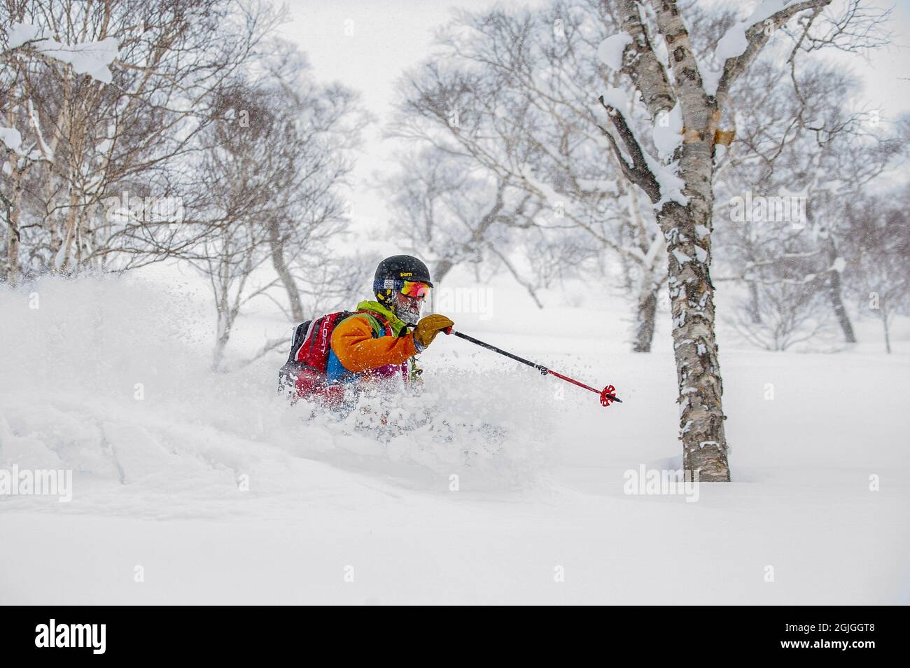 Ein männlicher Skifahrer in tiefem Pulverschnee abseits der Piste in der Nähe der Stadt Niseko in der Unterpräfektur Shiribeshi, Hokkaido, Japan. Stockfoto