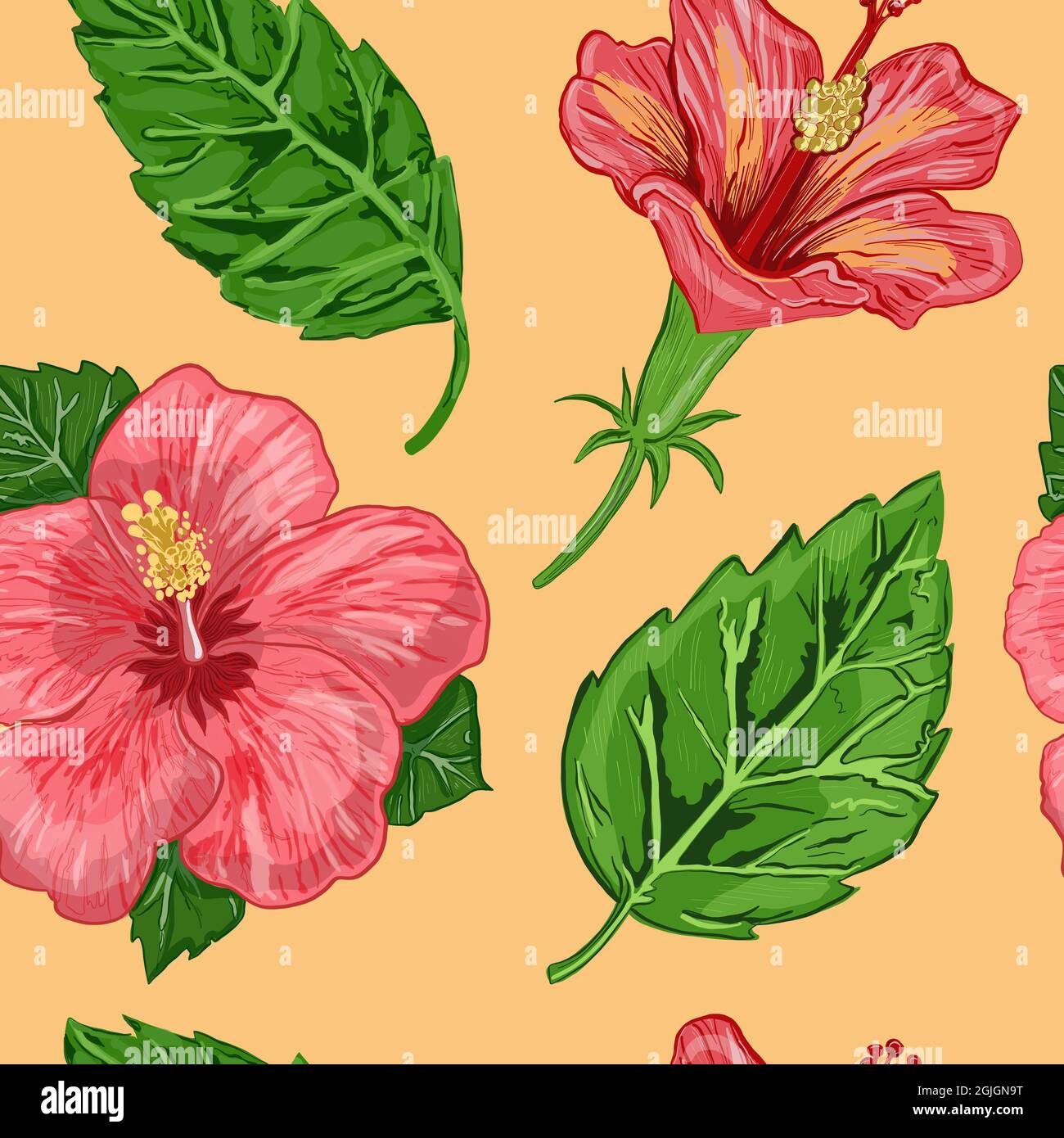 Illustration eines nahtlosen Musters von Hibiskusblüten und Blättern einer Pflanze auf einem Hintergrund Stockfoto