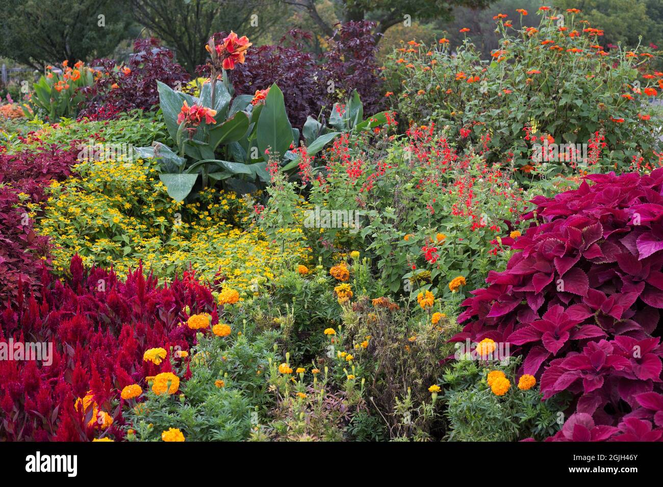 Ein Gartenbett, das aus warmen Farben besteht. Stockfoto