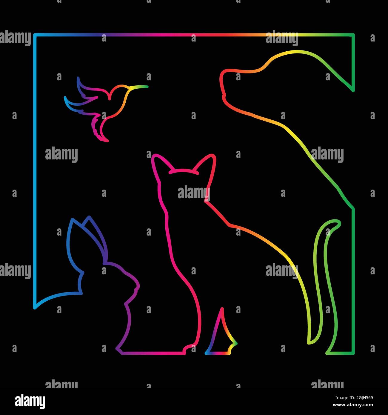 Vektor-Gruppe von Haustieren im Rahmen - Hund, Katze, Vogel, Kaninchen, isoliert auf einem schwarzen Hintergrund Stock Vektor