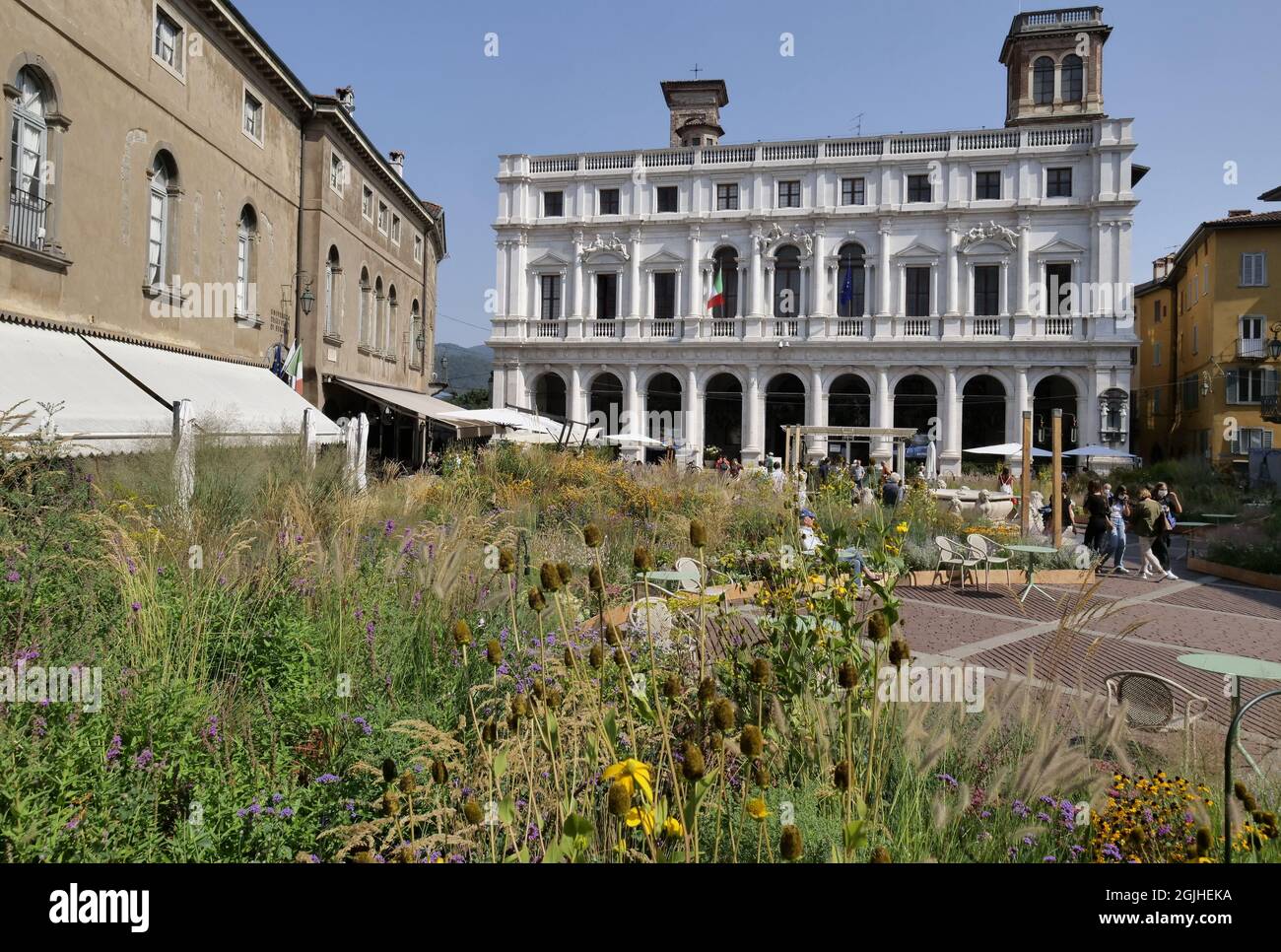 Bergamo alter Platz mit viel Grün bedeckt Inszenierung von Nigel Dunnet für Master of Landscape Naturalistic Festival. Stockfoto