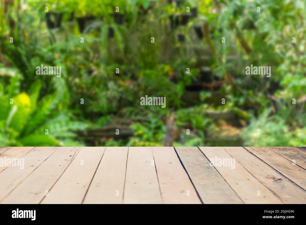 Holztisch Platz mit verschwommen grünen Natur Regenwald frisch für Eco-Produkte Werbung Montage Hintergrund. Stockfoto