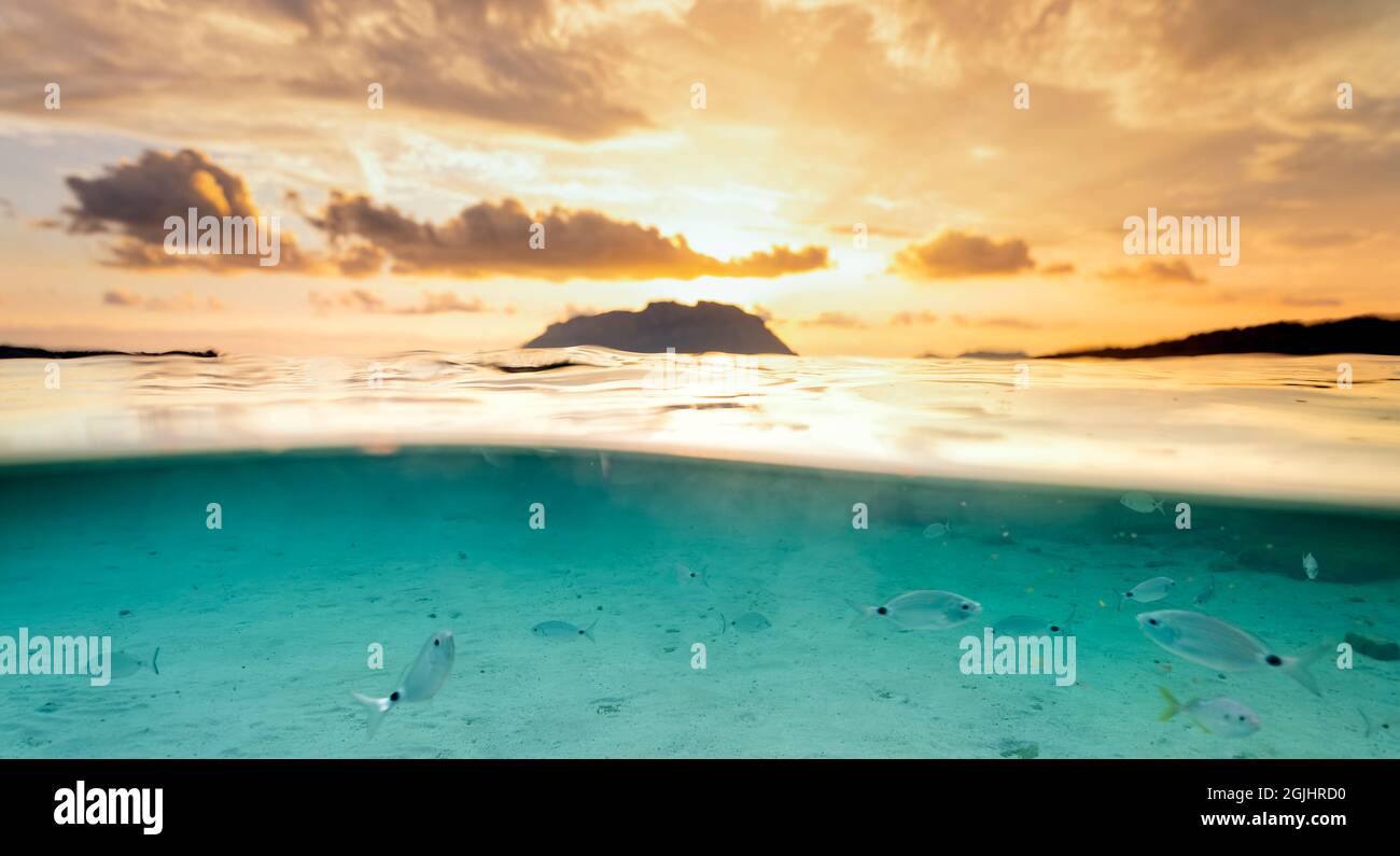 Split Shot, über unter der Wasseroberfläche. Blick auf einige Fische unter der Wasserlinie mit der unbelauchten Tavolara Insel an der Oberfläche während des wunderschönen Sonnenaufgangs. Stockfoto