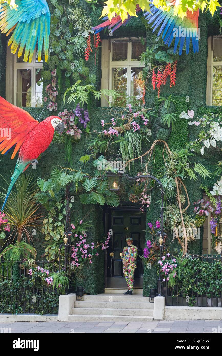 Farbenfrohe Dekoration mit Dschungelmotiven an der Fassade des Annabel-Mitgliedsclubs in Berkeley Square, Mayfair, London, England, Großbritannien Stockfoto