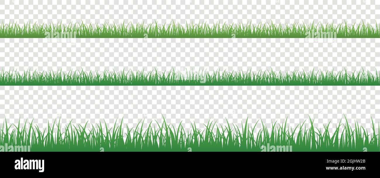 Grünes Gras Wiese Grenze Vektor Muster Isoladet Stock Vektor