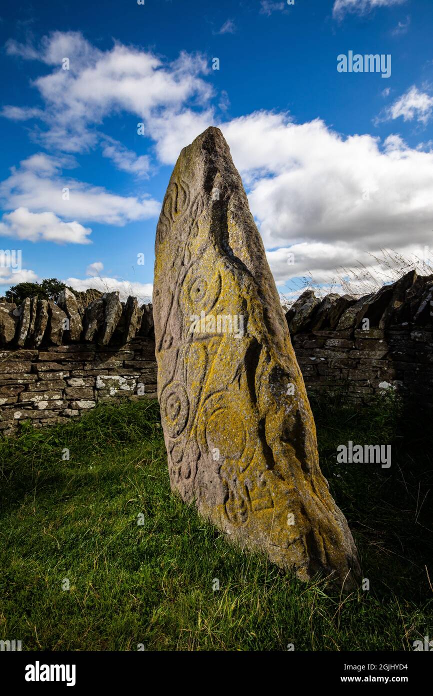 Der Serpent Stone, einer der Aberlemno Standing Stones in Angus, Schottland Stockfoto