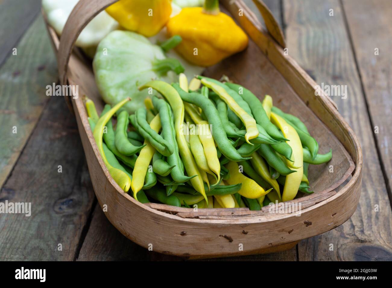 Ein Sussex Trug voller kletternder gelber und grüner französischer Bohnen und gelber und weißer Patty-Pan-Squash. Stockfoto