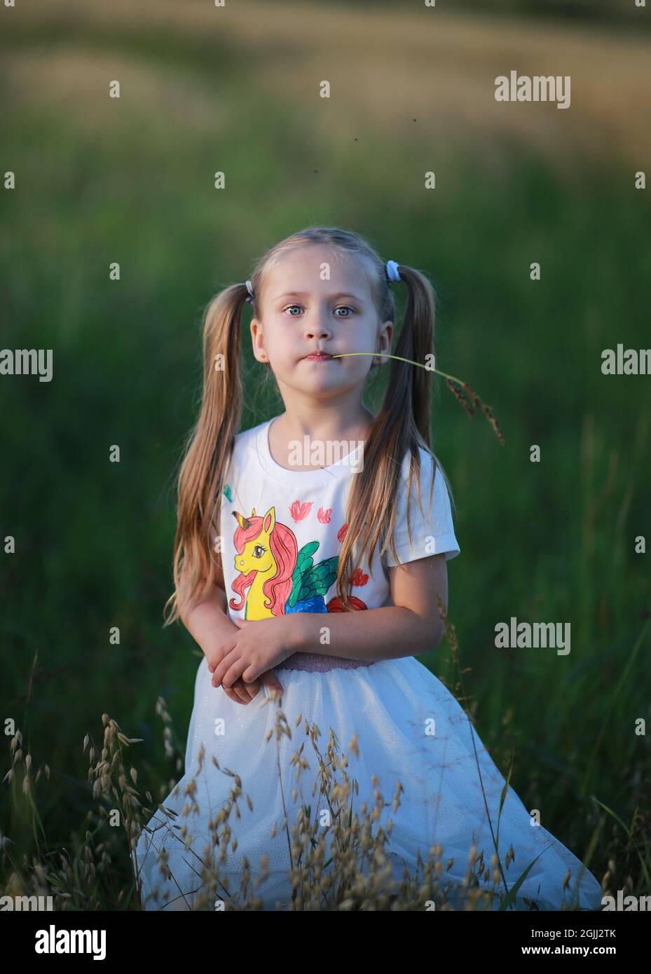 Ein Mädchen mit zwei Schwänzen, das einen Grashalm im Mund hält, in T-Short gekleidet mit einem Einhorn, geht auf einem Feld. Stockfoto