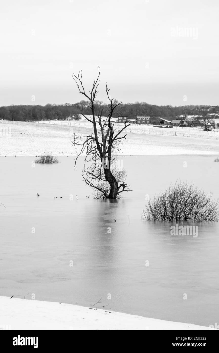 Durham, Großbritannien, 14. Februar 2021.das Auftauen von Schnee und Eis verursacht große Überschwemmungen in der Landschaft der Grafschaft Durham. Stockfoto