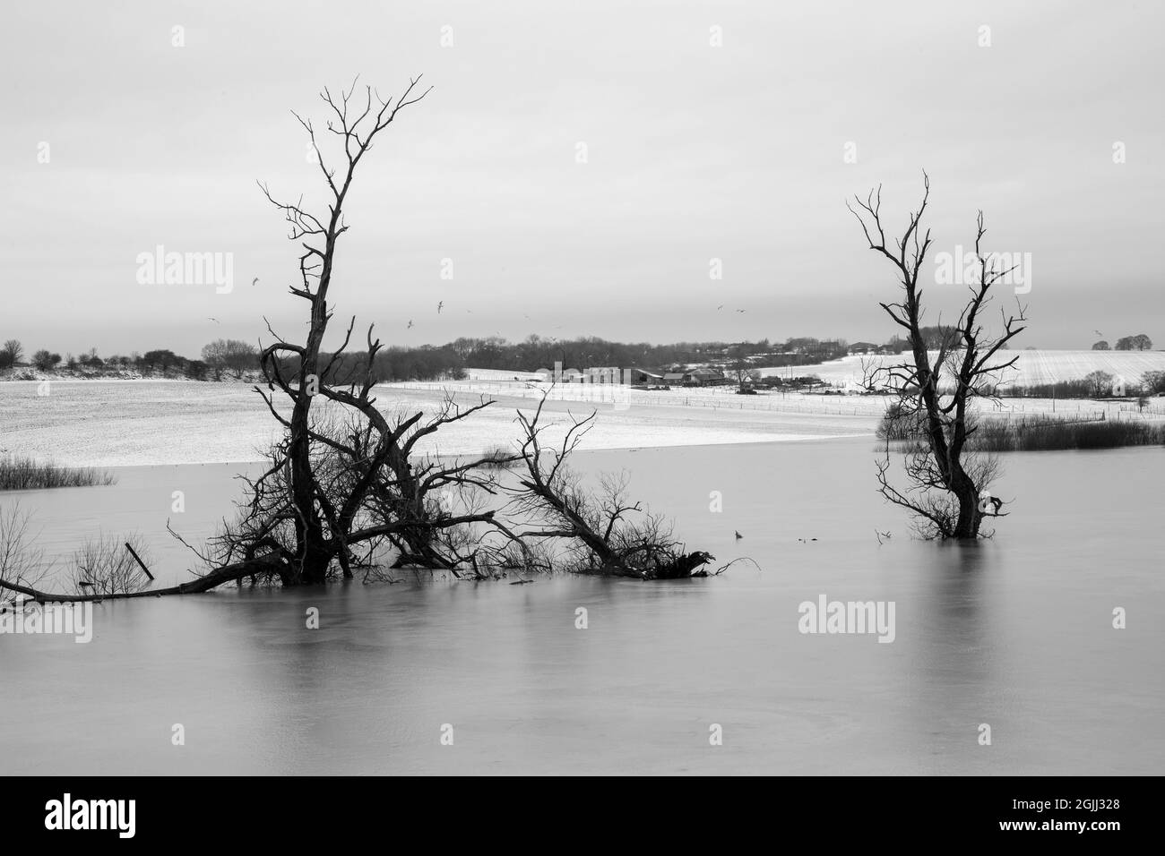 Durham, Großbritannien, 14. Februar 2021.das Auftauen von Schnee und Eis verursacht große Überschwemmungen in der Landschaft der Grafschaft Durham. Stockfoto