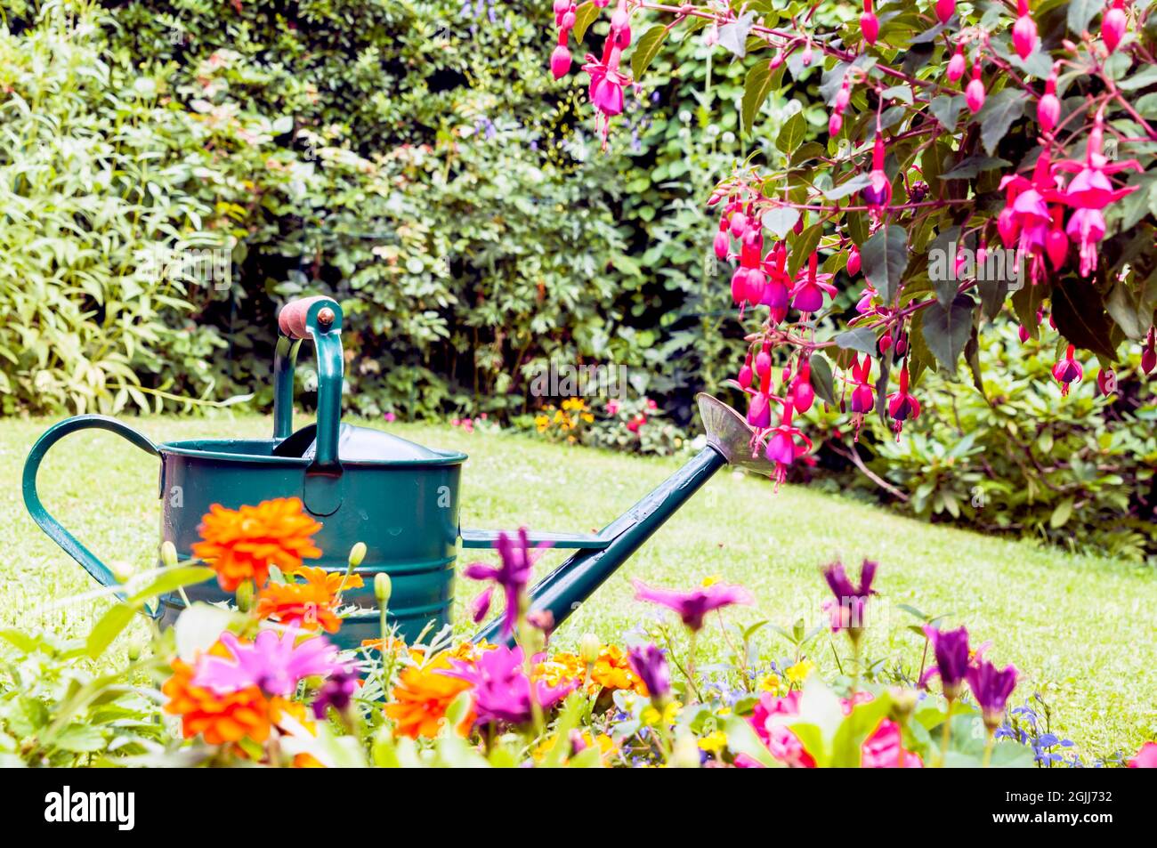 Gießkanne mit Blumen; Gießkanne im Garten Stockfotografie Alamy