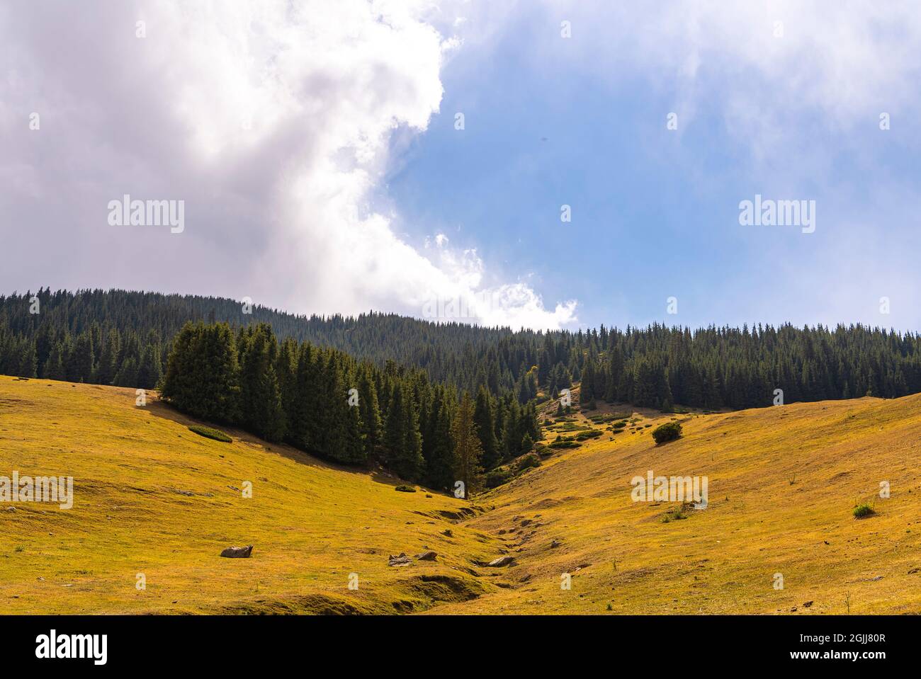 Schöner Herbst in den Bergen. Almaty, Kasachstan. Stockfoto