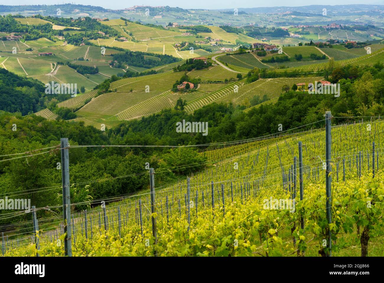 Ländliche Landschaft im Frühling in Langhe bei Dogliani, Provinz Cuneo, Piemont, Italien, UNESCO-Weltkulturerbe. Stockfoto