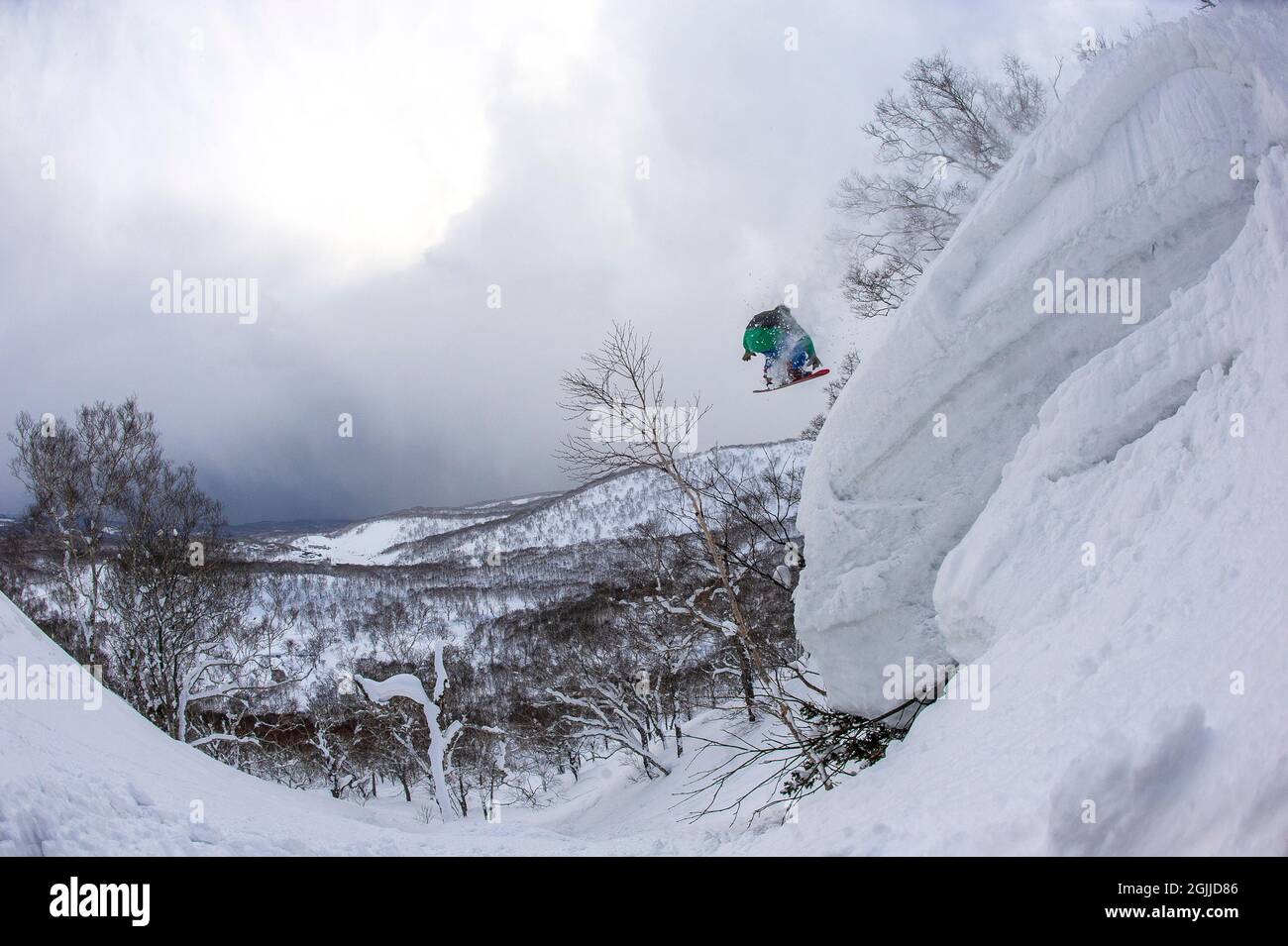 Ein Snowboarder springt von einem riesigen Schneekissen in tiefem Pulverschnee abseits der Piste in der Nähe der Stadt Niseko in der Subpräfektur Shiribeshi, Hokkaido, Japan. Stockfoto