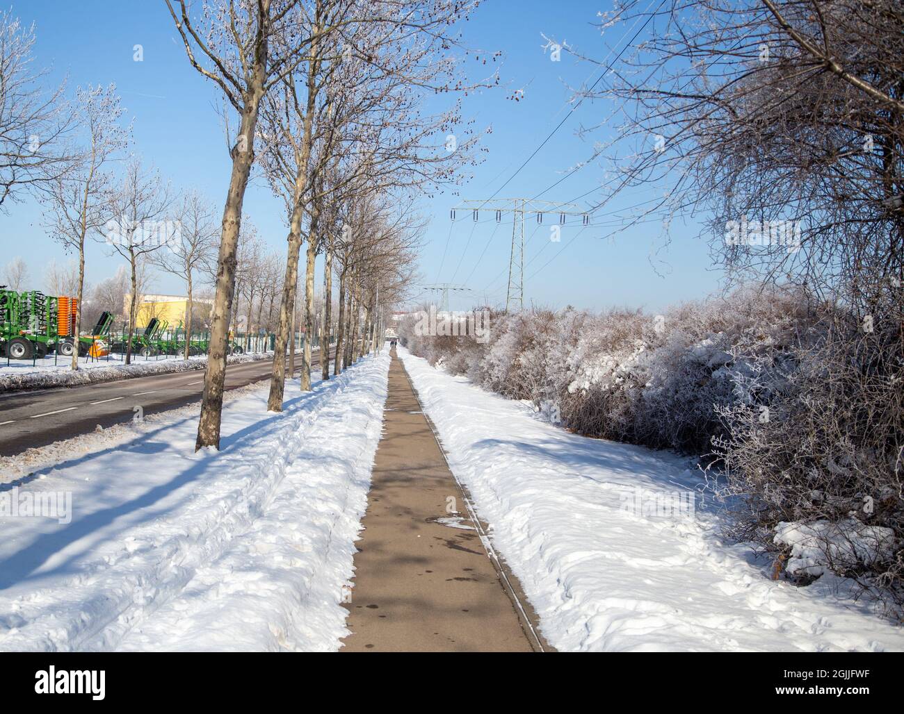 Ein verschneite Pfad in einem kleinen Gartenclub im Winter Stockfoto