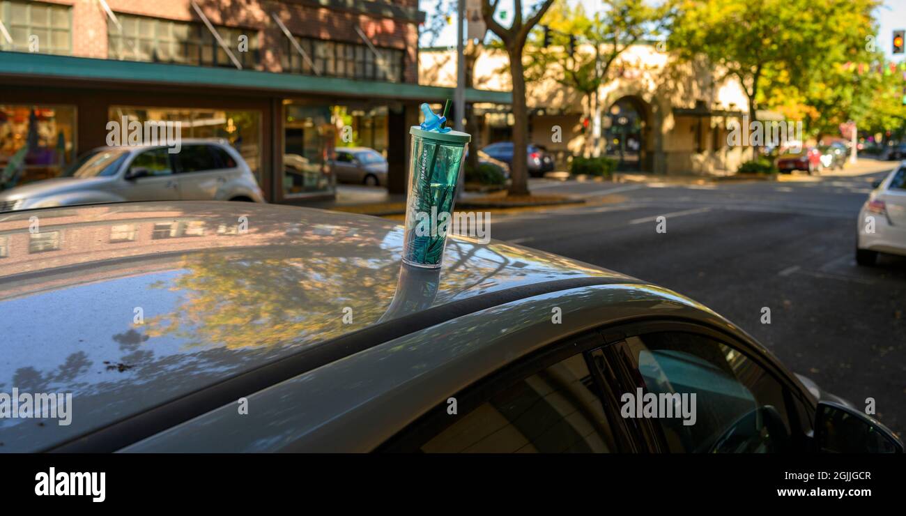 Ein heller Getränkebehälter auf einem Auto in Olympia, WA Stockfoto