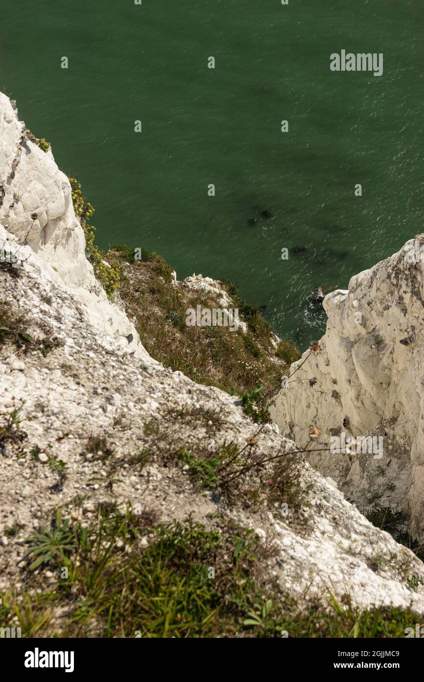 Der Sommerspaziergang auf den Weißen Klippen von Dover. Stockfoto