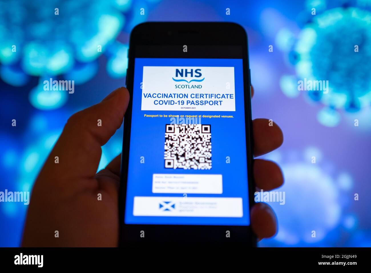 Modell eines möglichen Designs für eine covid-19-Impfstoff-Pass-App, die von der schottischen Regierung für Oktober 2021 geplant ist. Stockfoto