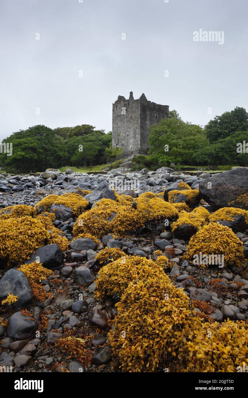 Moy Castle. Lochbuie. Isle of Mull. Argyll und Bute. Schottland. VEREINIGTES KÖNIGREICH. Stockfoto
