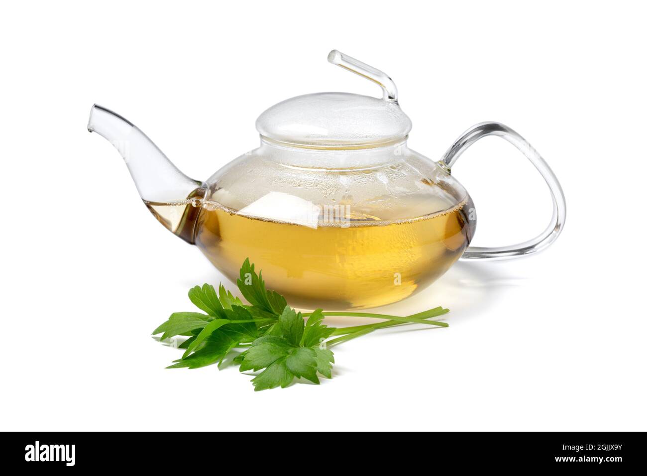 Teekannen aus Glas mit Liebstöckel-Tee und einem frischen Zweig Liebstöckel vorne isoliert auf weißem Hintergrund Stockfoto