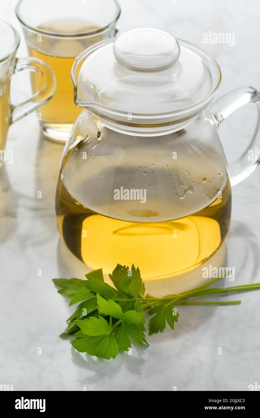 Teekannen aus Glas mit Liebstöckel-Tee und einem frischen Zweig Liebstöckel vorne Stockfoto