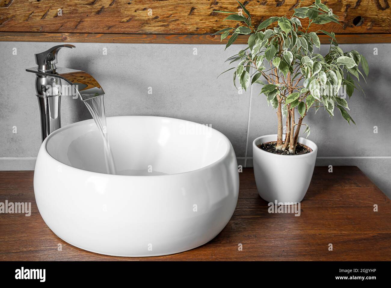 Ficus in einem weißen Topf in der Nähe des Waschbeckens im Badezimmer mit rustikalen Elementen Stockfoto