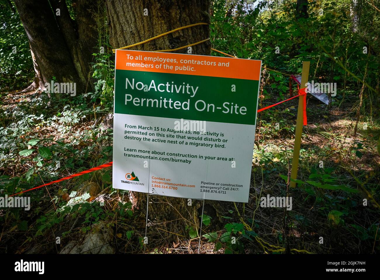 Keine Aktivität erlaubt Zeichen, wegen Zugvogelnester, Burnaby, British Columbia, Kanada Stockfoto