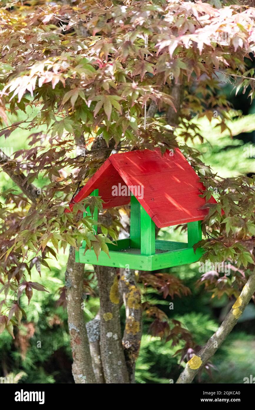 Futterhäuschen für die Vögel. Ein farbenfroher Stand, der an einem Baum hängt. Vögel füttern. Stockfoto