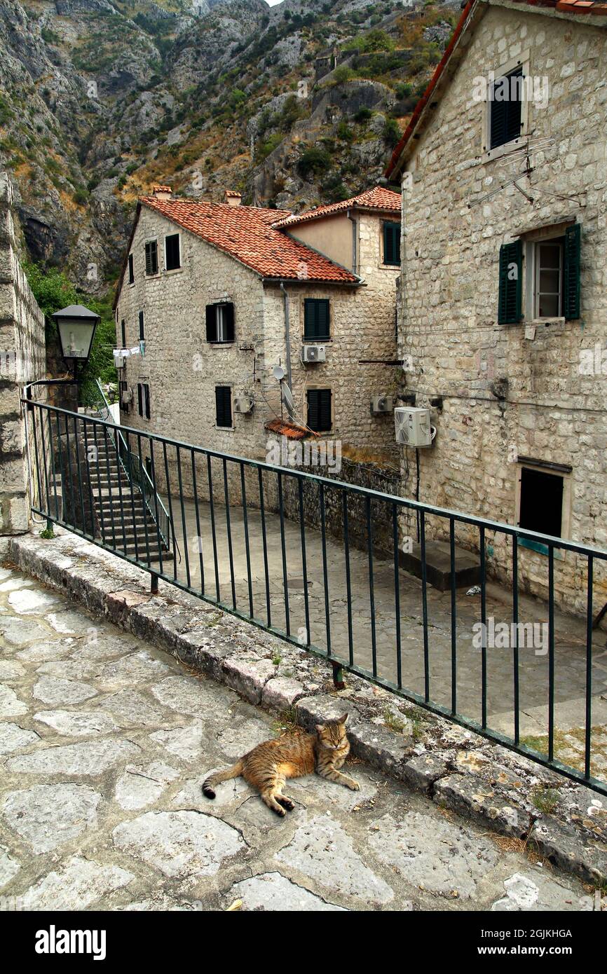 UNESCO-Weltkulturerbe die Stadt Kotor in Montenegro. Alte befestigte Stadt. Bucht von Kotor. Stockfoto