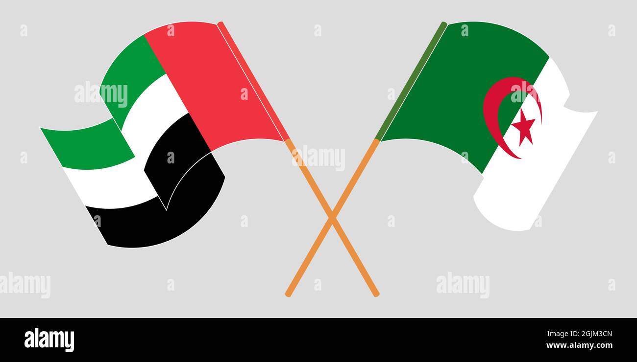 Gekreuzte Flaggen von Algerien und den Vereinigten Arabischen Emiraten Stock Vektor