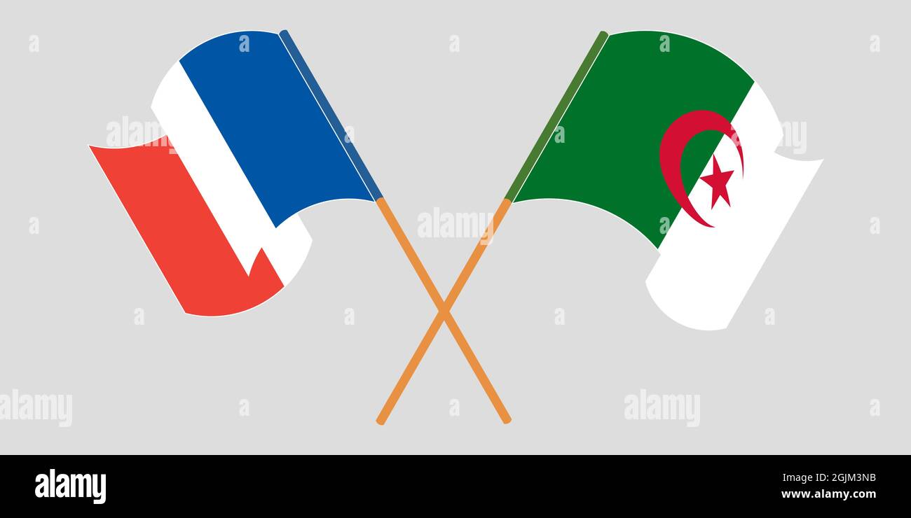 Gekreuzte Flaggen von Algerien und Frankreich Stock Vektor