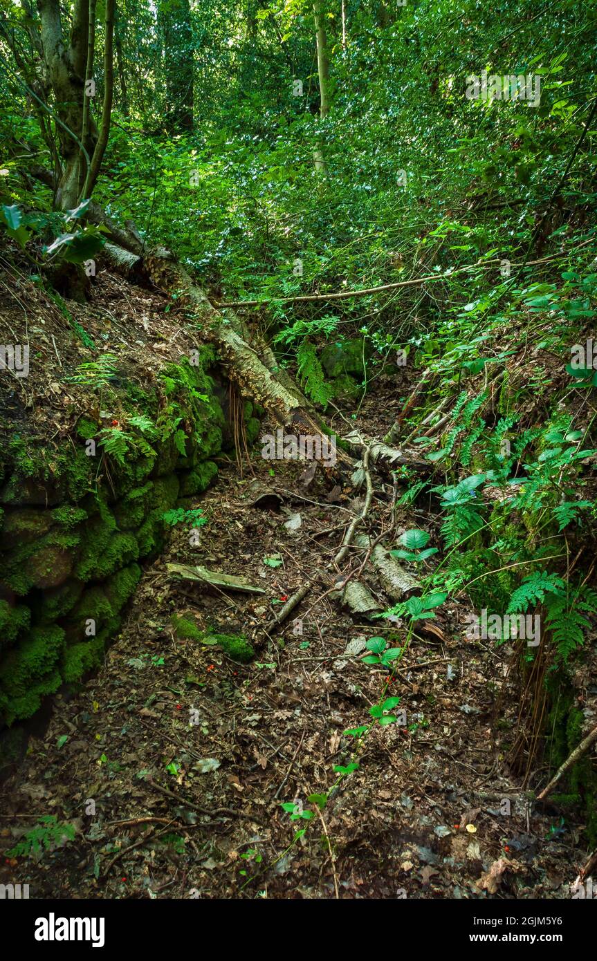 Ein von Trockenstein gemauerter Graben, der einst eine Straßenbahn enthielt, von einem blockierten Stollen bis zu einer giganteren Minenebene auf dem Loxley Common, nahe Sheffield. Stockfoto