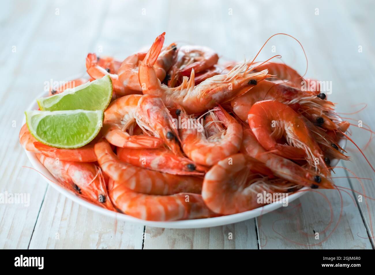 Große gekochte Garnelen in weißen Teller aus nächster Nähe. Meeresfrüchtekonzept. Food-Fotografie Stockfoto