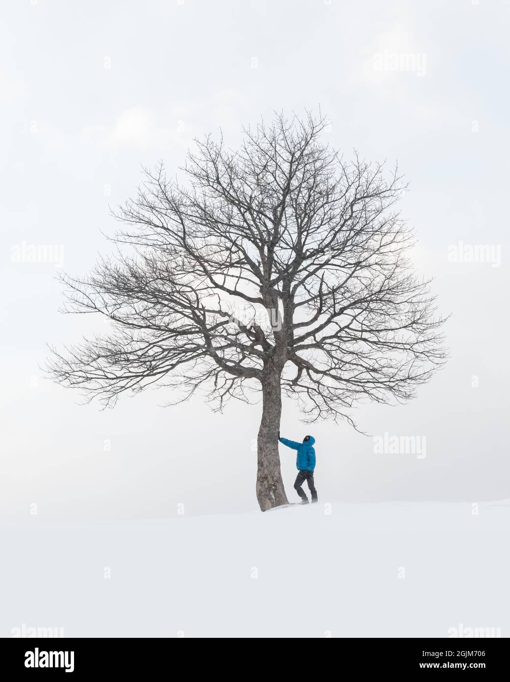 Erstaunliche Landschaft mit einem Mann in der Nähe von einsamen schneebedeckten Baum in einem Winterfeld. Minimalistische Szene bei bewölktem und nebligen Wetter Stockfoto
