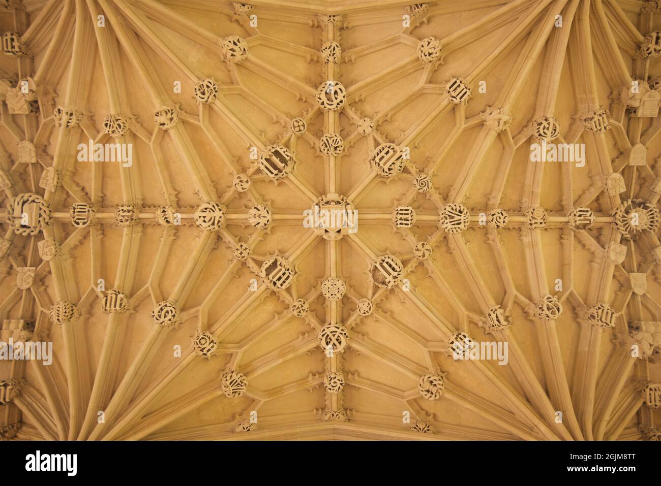 Kunstvoll geschnitzte, gewölbte Decke aus Stein der Divinity School, Bodleian Library, University of Oxford, Oxford, England, VEREINIGTES KÖNIGREICH. Der Bau begann im Jahr 1427 und dauerte bis 1488, zu diesem Zeitpunkt wurde die Divinity School der Universität von OxfordÕs ersten speziell gebauten Hörsaal. Stockfoto